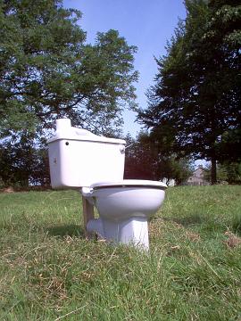 toilet 010